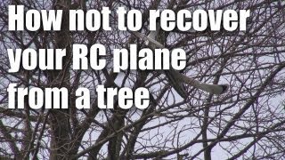 How NOT to get an RC plane out of a tree [upl. by Jerad]