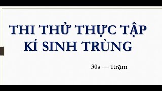 THI THỬ THỰC TẬP KST 2020 YCT [upl. by Yhcir]