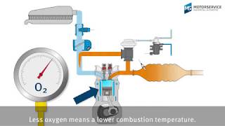 Exhaust gas recirculation EGR made easy [upl. by Zelle]