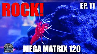 DRY amp LIVE ROCK In Your Saltwater Aquarium  Mega Matrix 120 [upl. by Zara242]