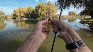 Biban in delta Dunarii in luna Noiembrie Danube delta Perch in November Fly fishing and jigging [upl. by Enived]