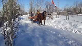 Horsedrawn snowplow2 [upl. by Avril]