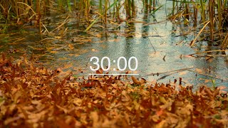 30 Minute Study Timer  4K Cozy Fall Rain Countdown [upl. by Gareri]