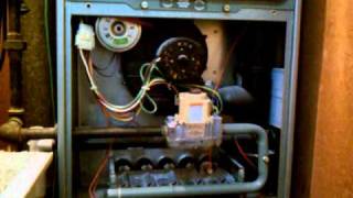 Furnace wont stay lite How do I fix this problem [upl. by Bartie638]