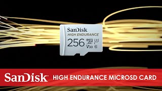 SanDisk® High Endurance microSD™ card [upl. by Kcinimod294]