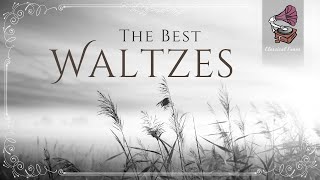 The Best Waltzes  Classical Music At His Maximum Essence [upl. by Leaffar]