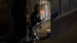 Guitar Bear Sighting streetperformer centralsquare cambridge [upl. by Anitsrihc]