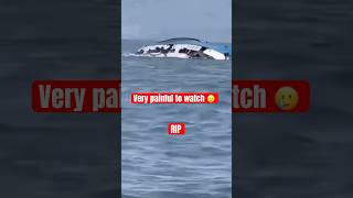 Capsized boatMust watchviralvideo boat viralshorts rip [upl. by Anirhtak]