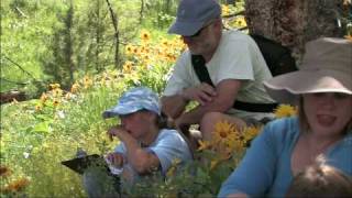 Yellowstone for Families Web Promo  National Park [upl. by Jaenicke]