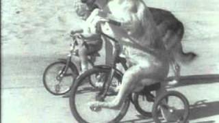 Fietsende honden 1936 [upl. by Redla]