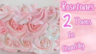 Rosetones de 2 Tonos 🌹2 toned Rosettes [upl. by Ennaesor]