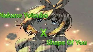 Nakano Yotsuba AMV Shape Of You [upl. by Atilemrac]