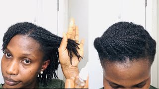 How I moisturize and style mini twists [upl. by Ecirtel]