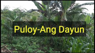 Puloyang Dayon with Lyrics [upl. by Charmain]