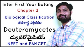 Deuteromycetes  డ్యుటిరోమైసిటిస్  Biological Classification  జీవశాస్త్ర వర్గీకరణ [upl. by Hsirap]