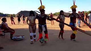 Tribal dance Sons e Cores do Xingu Horizonte [upl. by Anida840]