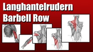 How 2 Langhantel Rudern Barbell Rows [upl. by Ahar]