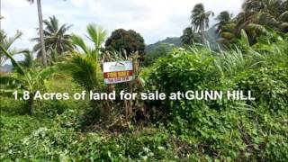 Bijou Real Estate Property and land Listings in StVincent amp the Grenadines [upl. by Nnylav370]