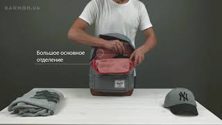 Обзор городского рюкзака Herschel Pop Quiz POLY GREY [upl. by Reneta838]