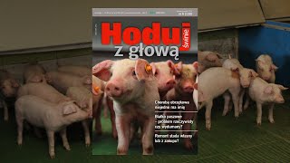 quotHoduj z Głową Świniequot nr 62024 listopadgrudzień [upl. by Sicular]