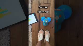 Follow the Leader Coding Activity with Dash Robot [upl. by Nahsyar]