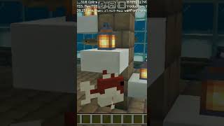 My fish house minecraft shorts viralshorts [upl. by Tareyn384]