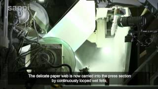 The Paper Making Process [upl. by Enineg]