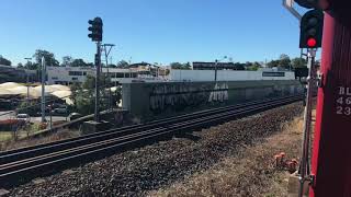 Steam train to Fishermans island and Pinkenba Buranda to the Port of Brisbane [upl. by Homans]