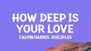 Calvin Harris amp Disciples  How Deep Is Your Love Lyrics [upl. by Ishmul]