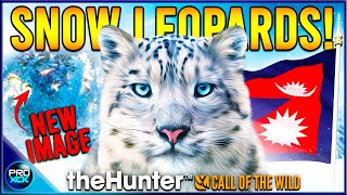 NO WAY Snow Leopards Confirmed  Sundarpatan New Image  theHunter Call of the Wild [upl. by Verge]