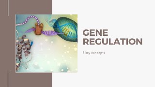 Regulation of gene expression 5 key concepts in Bangla [upl. by Nido724]