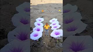 Flower 🌺 Amazing creative videographytrendingytshorts villagelife viralvideo photographyinsta [upl. by Seiber313]