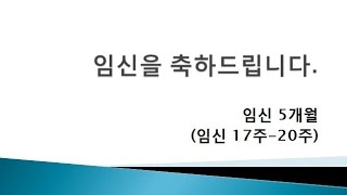 박혜성의 태교특강 임신주수별 변화와 주의사항  임신 5개월 [upl. by Stanton683]