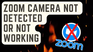 SOLVED Zoom Camera Not Detected Or Not Working [upl. by Atinek]