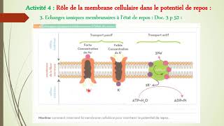 Les échanges ioniques membranaires à létat de repos [upl. by Ahteres]