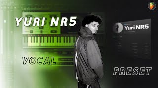 YURI NR5 Vocal Preset [upl. by Keslie]