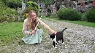 Greensleeves Flute and Tenor Recorder at Wings Castle in NY [upl. by Haduhey802]