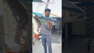 కర్నూల్ 10kg tuna fish డెలివరీ చేశానుviralreelstrendingreelsseafishseafishingramufishpacking [upl. by Noble241]