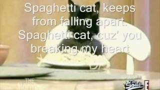 Spaghetti Cat  I Weep For You Full Lyrics OnScreen [upl. by Drislane]