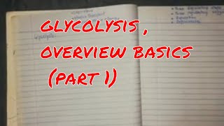 glycolysis  overview basics part 1 [upl. by Karyn]