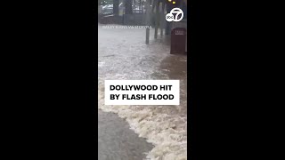 Dollywood hit with flash flood [upl. by Reisch333]