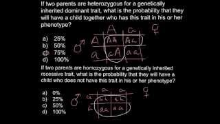 Punnett square problem solving example [upl. by Valda]