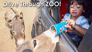 Arbuckle Wilderness DRIVE THROUGH ZOO Oklahoma  e62 [upl. by Amata]