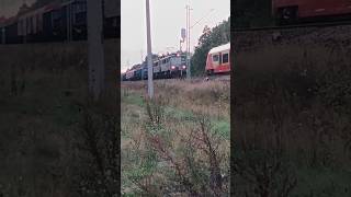 Jamnik Et41160A ze składem mieszanym  potężne rp1🔥🗿💪 [upl. by Vogel261]