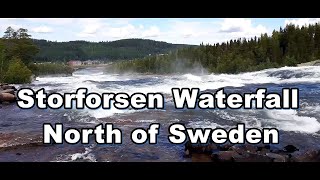 Storforsen Waterfall «Жемчужина севера Швеции» Водопад с бурными порогами [upl. by Ettegirb]