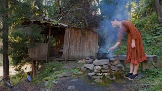 Inside a 100YearOld Mountain Hut Campfire Cooking in the Wilderness [upl. by Hanikas]