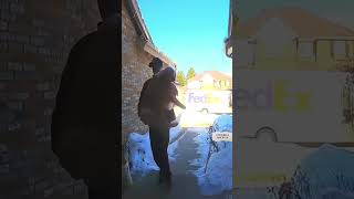 how to be friendly with dogsdoorbell doorbellcam interesting [upl. by Mook]