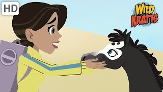 Wild Kratts  Precious Animals  Kids Videos [upl. by Else953]