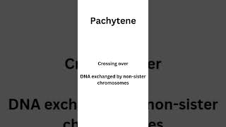 Meiosis Prophase 1 sub stages  Leptotene Zygotene Pachytene Diplotene and Diakinesis botany [upl. by Aurelie]