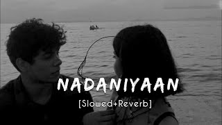 Nadaniyaan Song Slowed And Reverb l Love Feeling Songs Hindi Lofi [upl. by Mcquoid678]